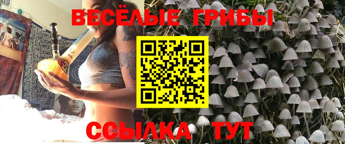  COCAIN Лыткарино