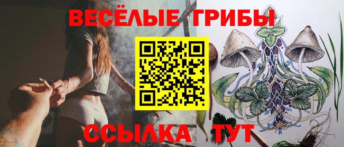 Галлюциногенные грибы Psilocybe  Вход с VPN  Лыткарино 