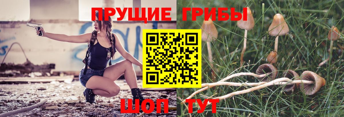 Псилоцибиновые грибы Cubensis Лыткарино